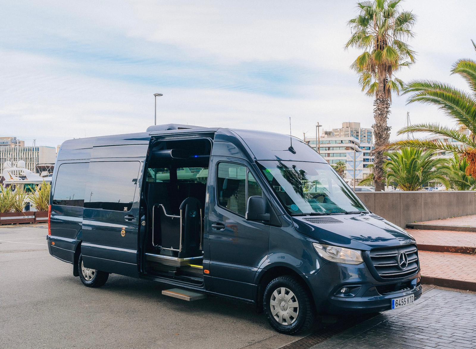 Luxury Minibus - Mercedes-Benz Sprinter